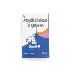 Clavgold Sb Pet injection