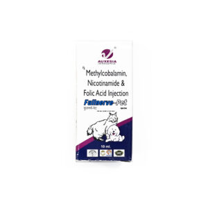 Fullnerv 10ml Injection