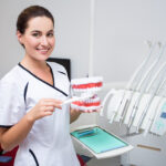 portrait of female dentist or hygienist showing how to clean teeth with artificial jaws and toothbrush in modern clinic